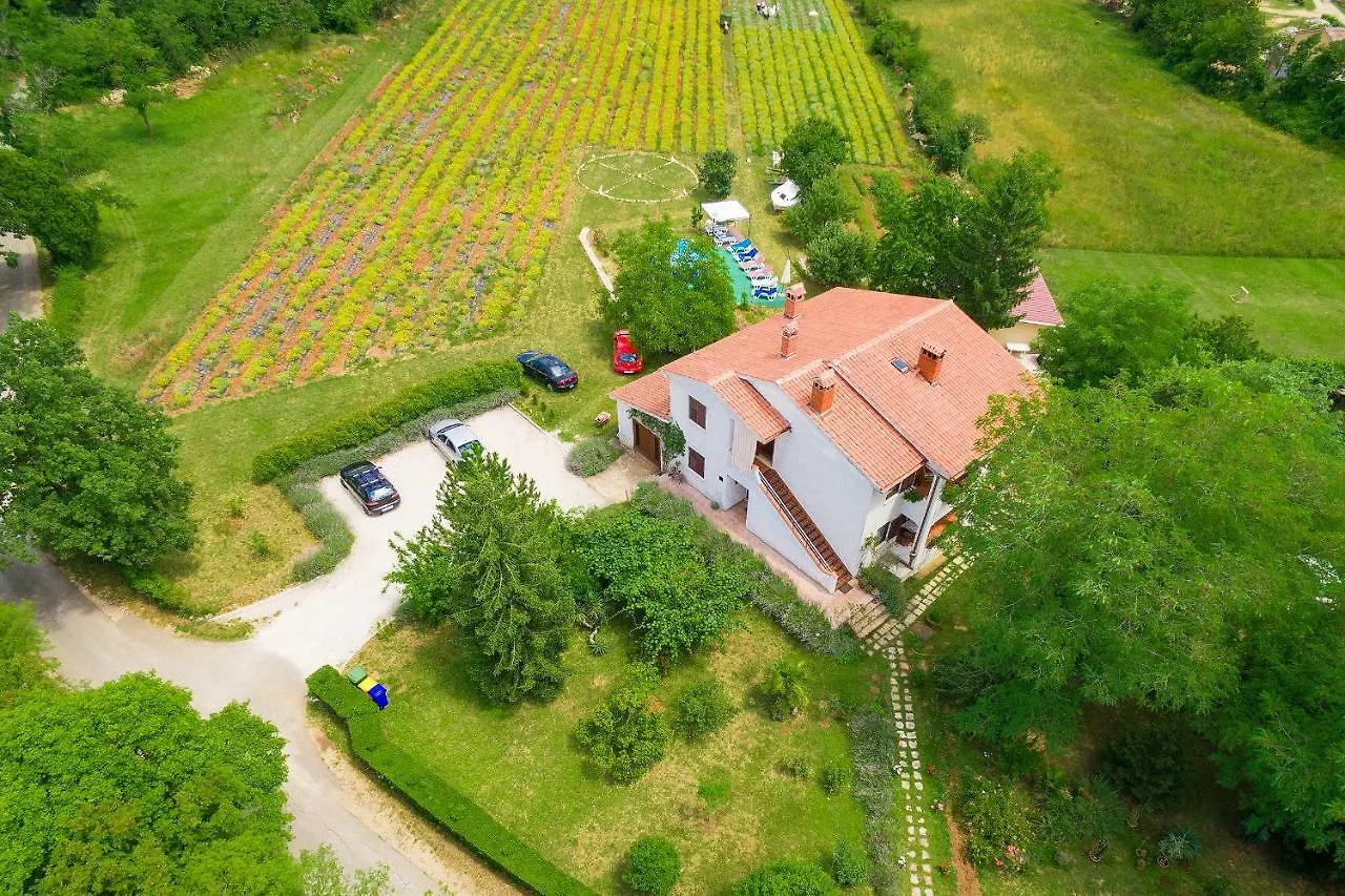 Apartments Valoda Nedescina 0*,