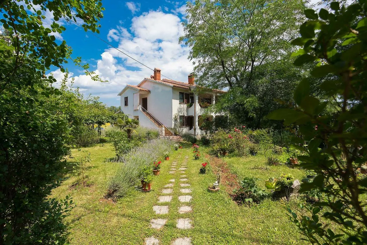 Apartments Valoda Nedescina