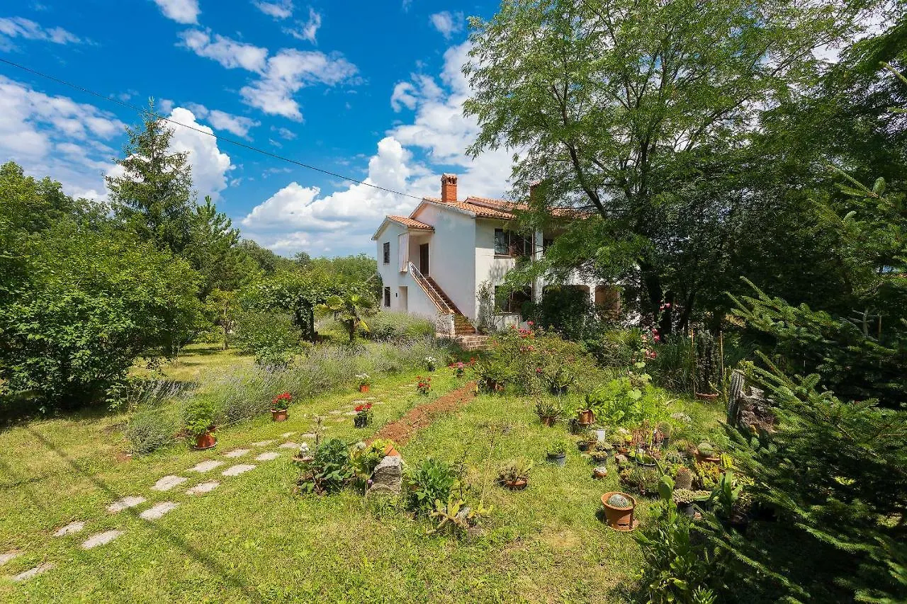 Apartments Valoda Nedescina